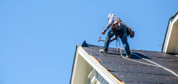 Best Roof Repair Specialists  in Moville, IA